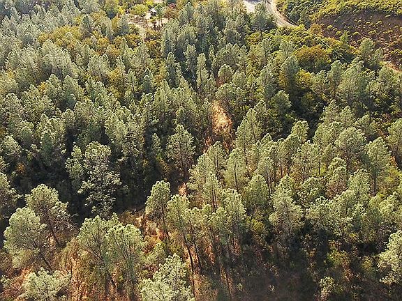 2nd image of Shasta Dam Blvd