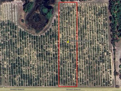 Mammoth Grove Rd #8, Lake Wales, FL, 33898