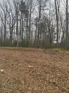 0 Henry Rd, Henry, VA, 24102