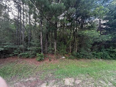 Ebenezer Cemetery Rd, Leesville, LA, 71446