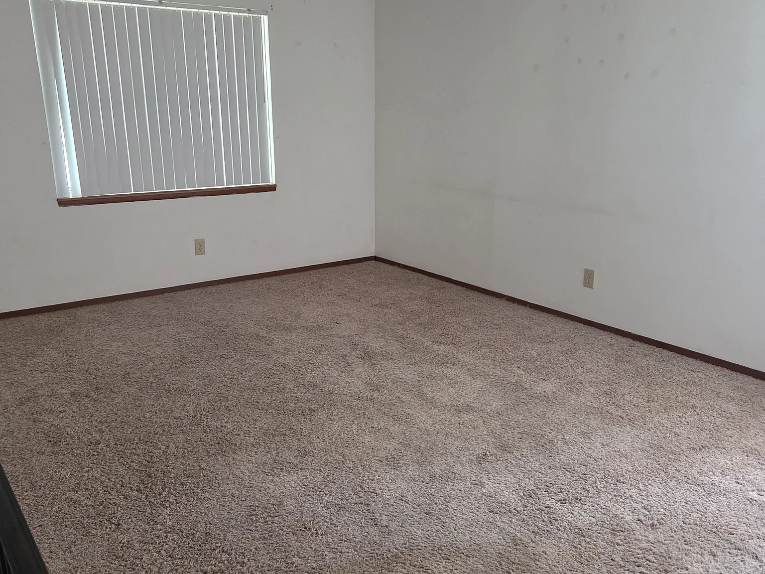 2 bed, 1.5 bath, 1100 sqft, $1,350 — Photo 4