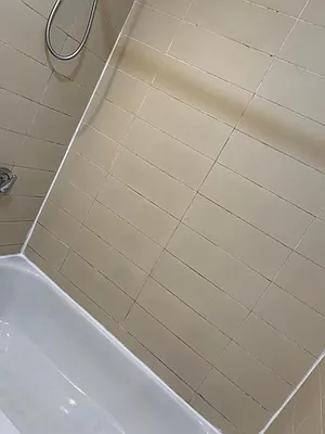 Rented by Terra Magia Inc | media 27