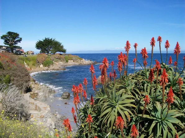 815 Ocean View Blvd #A, Pacific Grove, CA 93950