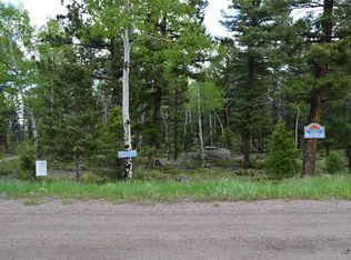 12979 Piano Meadows Dr, Conifer, CO 80433