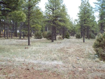 231 Deer Run Rd, Lakeside, AZ, 85929