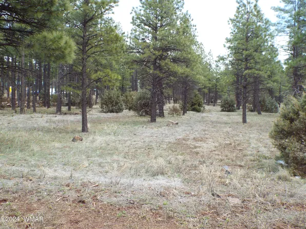231 Deer Run Rd, Lakeside, AZ 85929