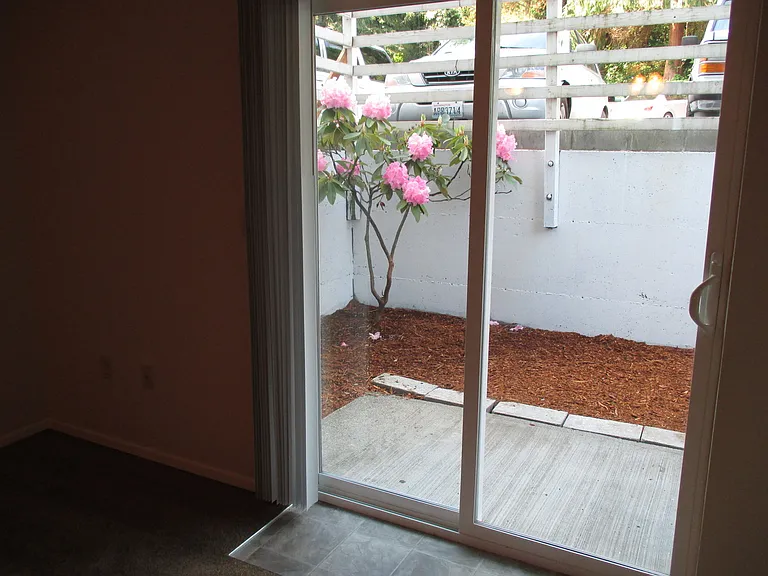 Evergreen on 47th — Photo 23