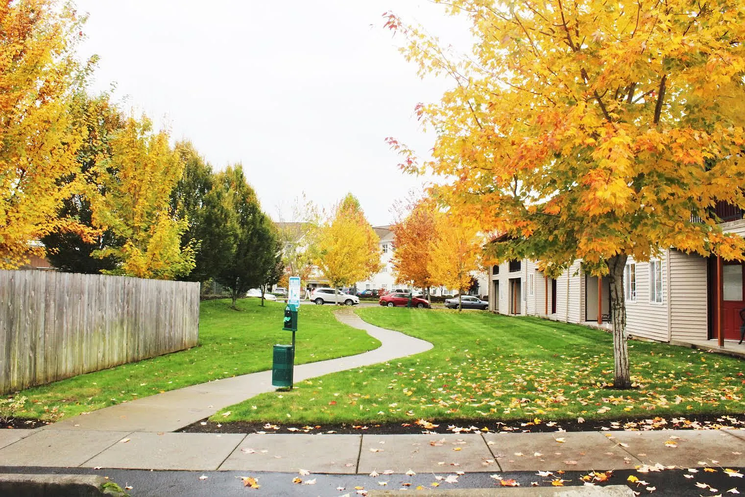 The Avenues 75/25 — Photo 4
