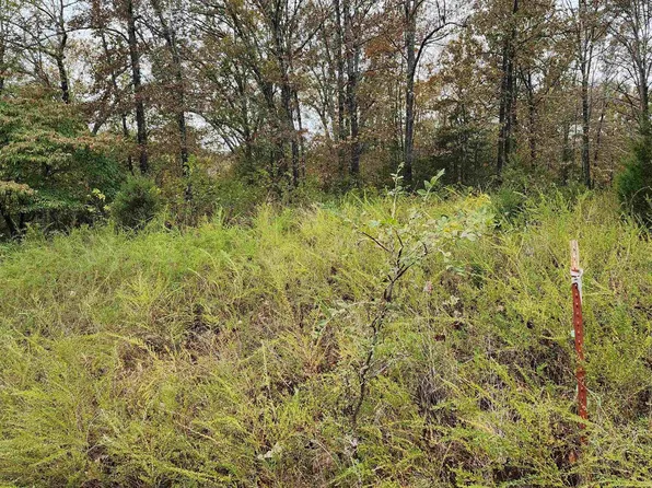 40 Bluffview Dr, Flippin, AR 72634