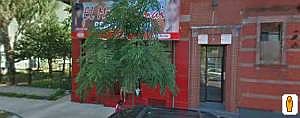 1st image of 500 E 119th St APT 6