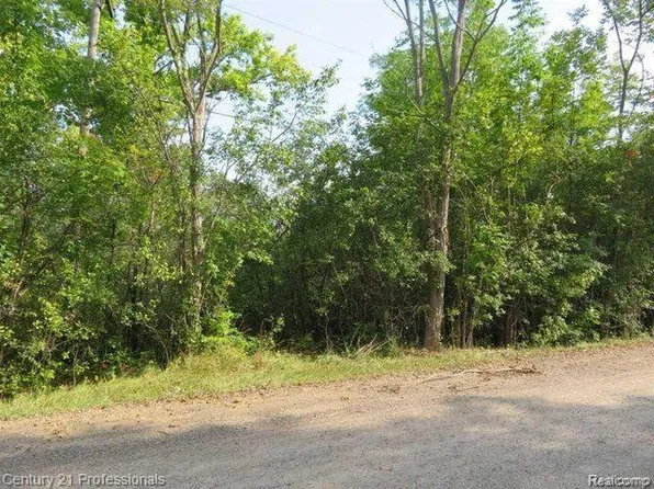 LOT 23 Rockshire Ave, Farmington, MI 48334
