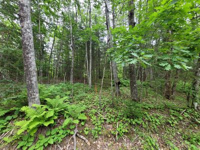 5 Matty Way, Franklin, ME, 04634