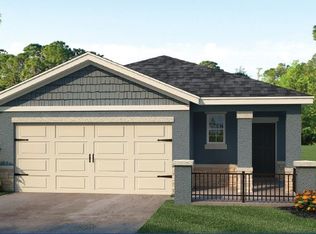 222 Caryota Ct, New Smyrna Beach, FL 32168