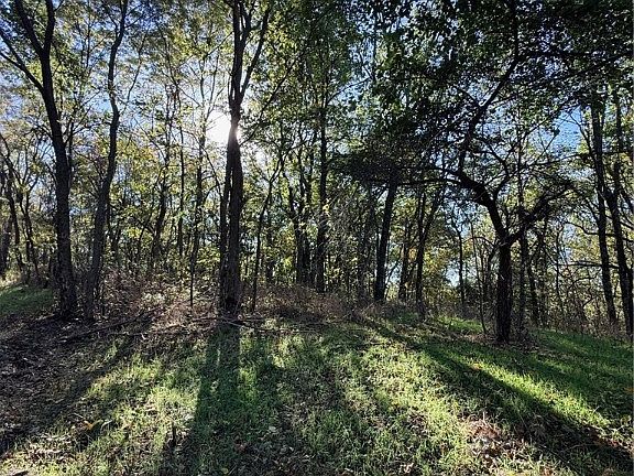 2nd image of County Road 517 #6-9