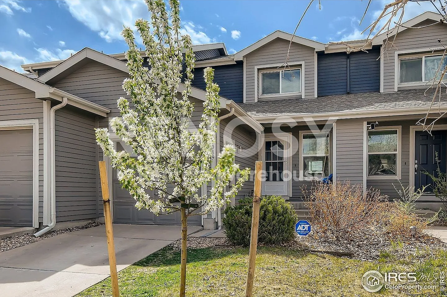 3 Bed 2 bath | Northglenn, CO House — Photo 2