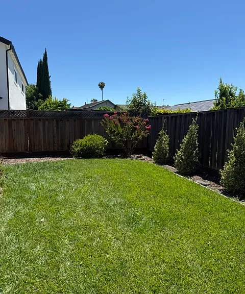 Back yard with automatic sprinklers.