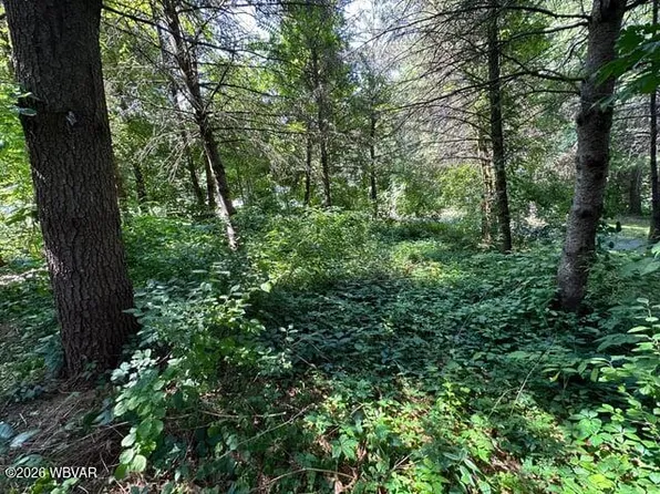 PARCEL 22 Pole Bridge Rd Lot 35, Muncy Valley, PA 17758