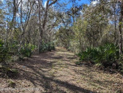 9001 Treiman Blvd, Webster, FL, 33597