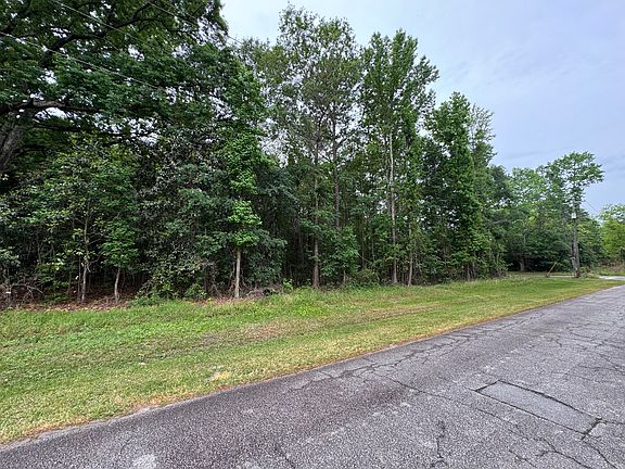 2nd image of 0 Ellis Ave N