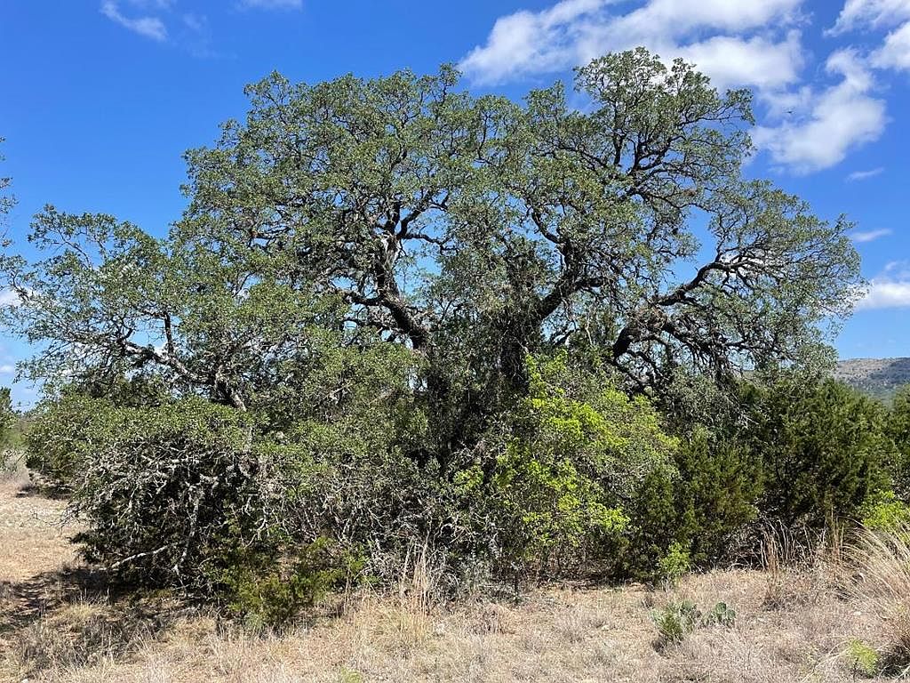 15 Oriole Ave, Camp Wood, TX 78833 MLS 109307 Zillow