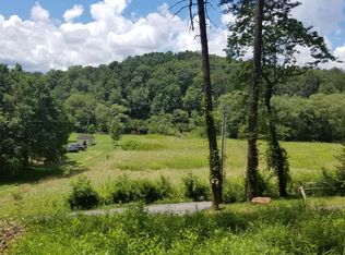 LOT 1 Fish Camp Way, Mineral Bluff, GA 30559