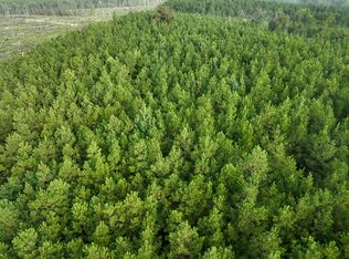 3 Big Hill Fire Tower Rd, Robeline, LA 71469