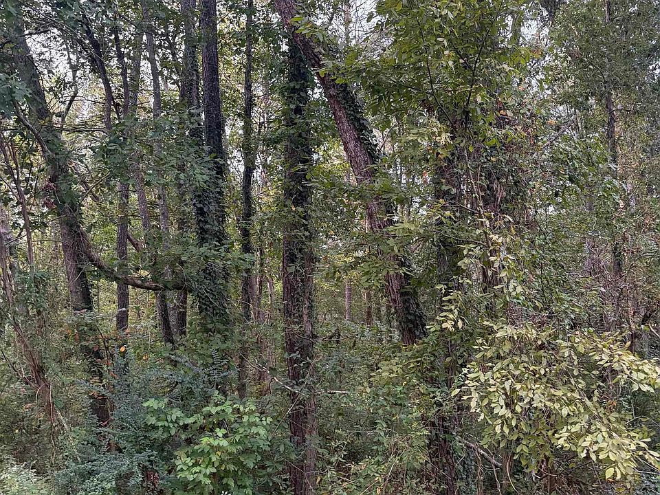 2nd image of 114 Creekwood Dr
