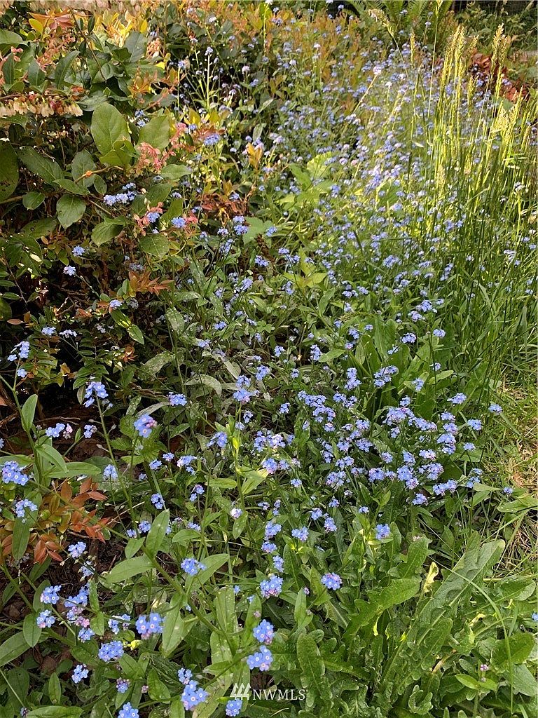 Coupeville, WA 98239