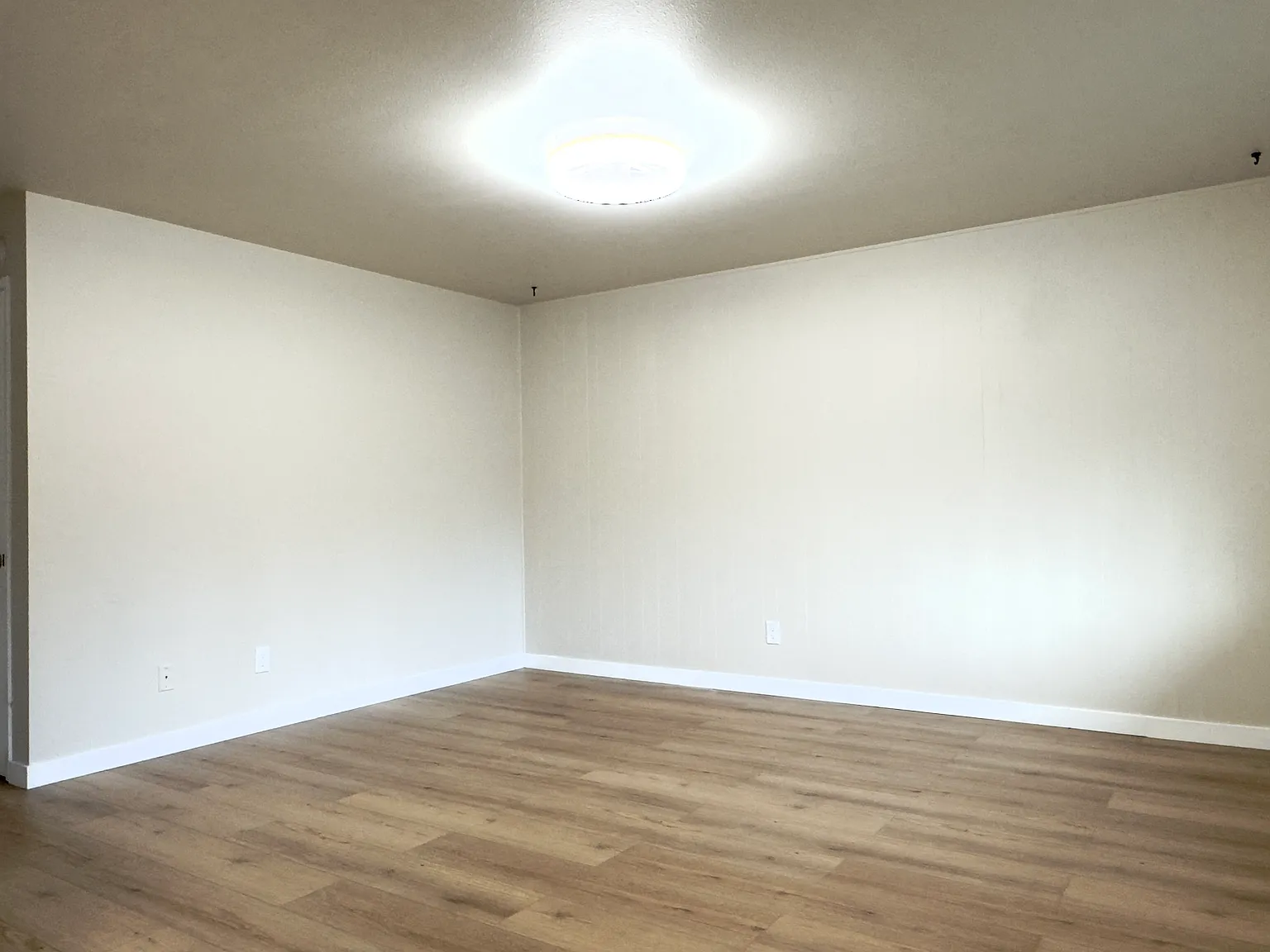 1 bed, 525 sqft, $1,595 — Photo 4