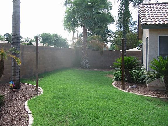 Back yard 1