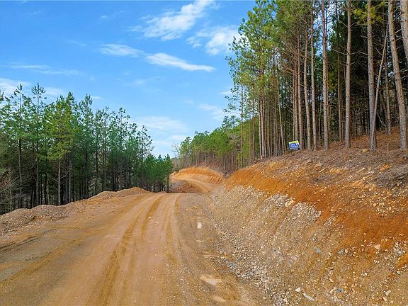 2nd image of 55 Virginia Pine Pl Lot 55