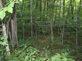 14 Serenity Cv, Maggie Valley, NC 28751