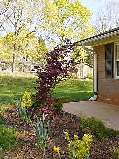 Garden at left front of house