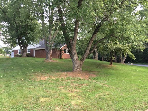 Continued Front Yard