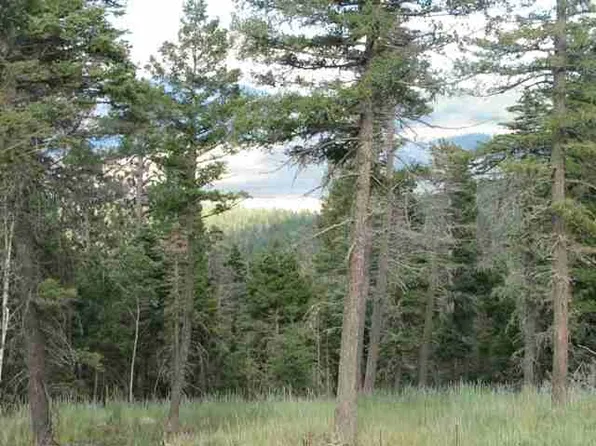 LOT 11 Palo Flechado Ridge Rd, Angel Fire, NM 87710