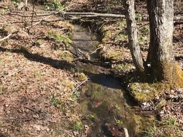 897 Parkstown Rd, Wilder, TN 38589