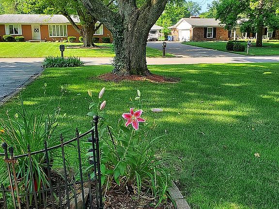 5th image of 1906 Remington Pl