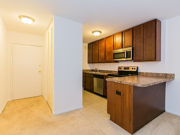 3rd image of 1355 N Dearborn Pkwy #505