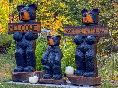 F33 Nordic Village Lane #F33, Bartlett, NH, 03812