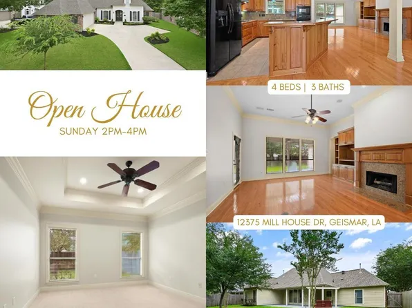 12375 Mill House Dr, Geismar, LA 70734