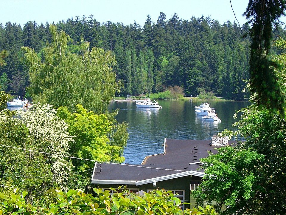 View from Deck
