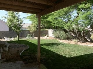 Backyard at Sunniest Time of Day