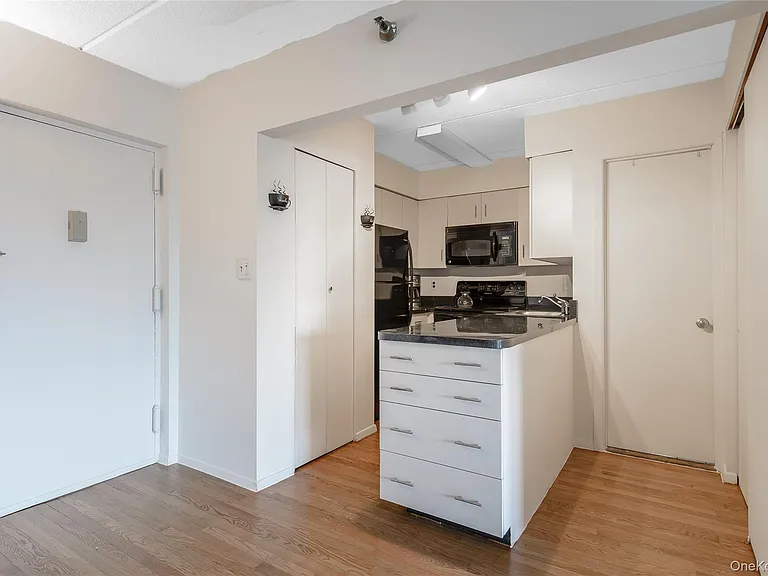 205 Mineola Blvd #3G — Photo 9