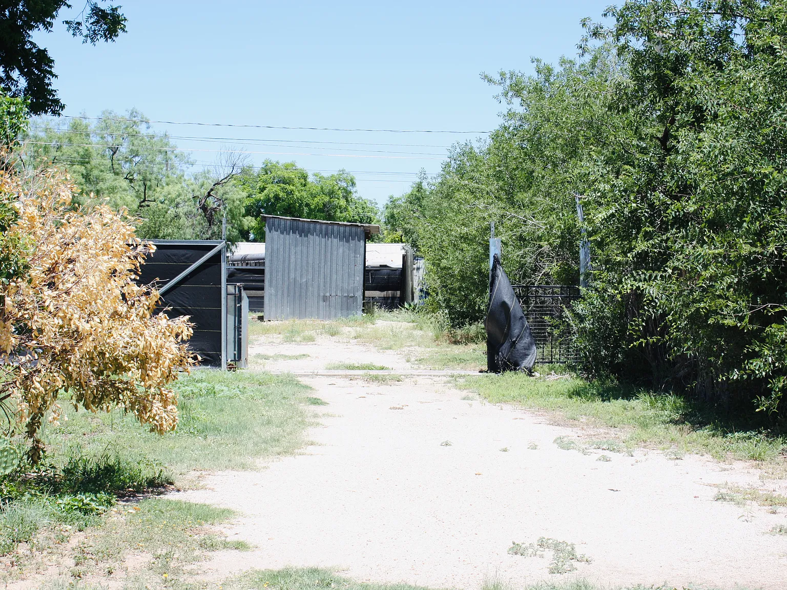 4 bed, 1800 sqft, $1,600 — Photo 3
