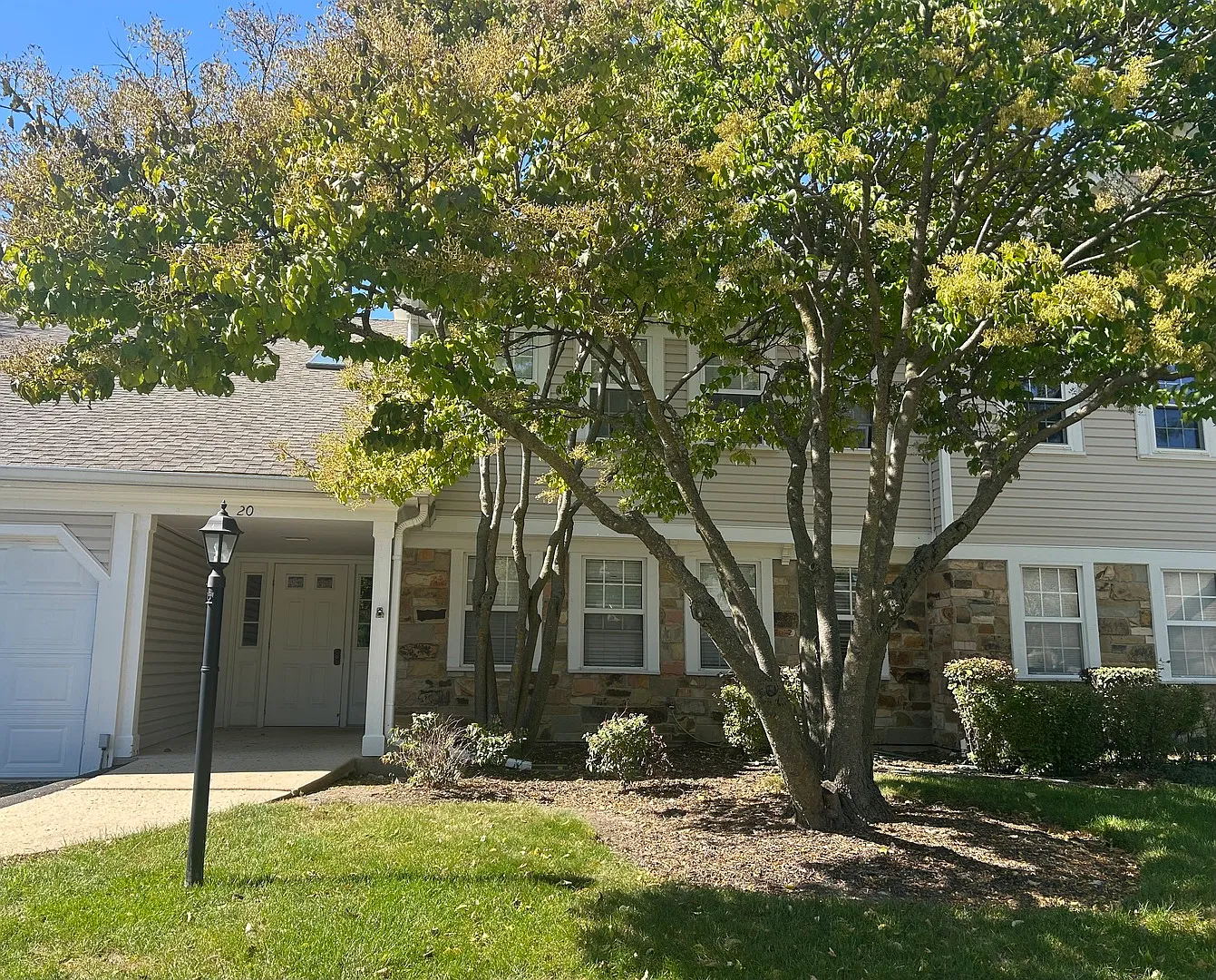 1 bed, 900 sqft, $1,900 — Photo 1