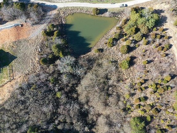 4th image of 6 Treeline Dr