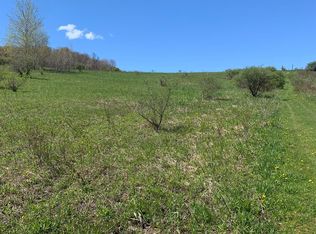 Freer Hollow Rd, Franklin, NY 13775