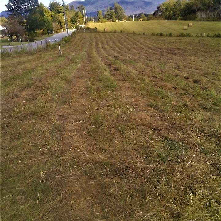 2nd image of 65 Bishop Loop