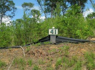 LOT41 Rolling Mdws, Ellijay, GA 30540