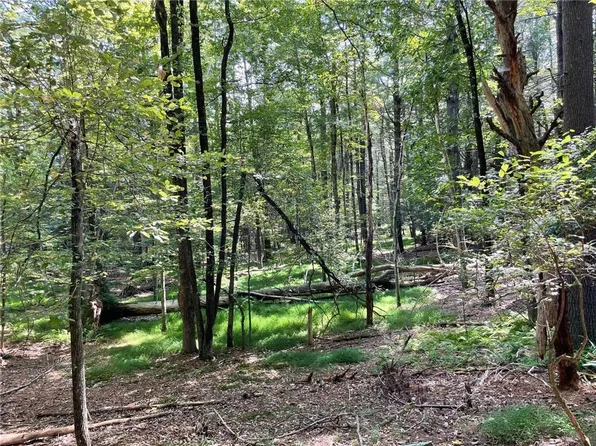 Woods Road, Barryville, NY 12719